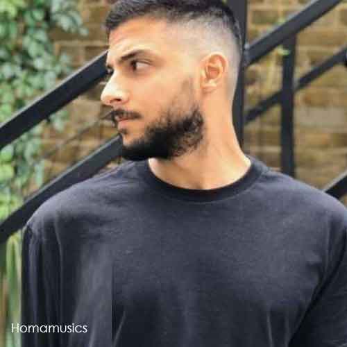 دانلود آهنگ مهراد هیدن سرگردون